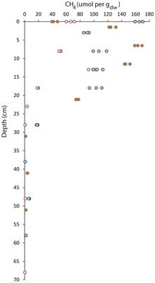 Stratification of Diversity and Activity of Methanogenic and Methanotrophic Microorganisms in a Nitrogen-Fertilized Italian Paddy Soil